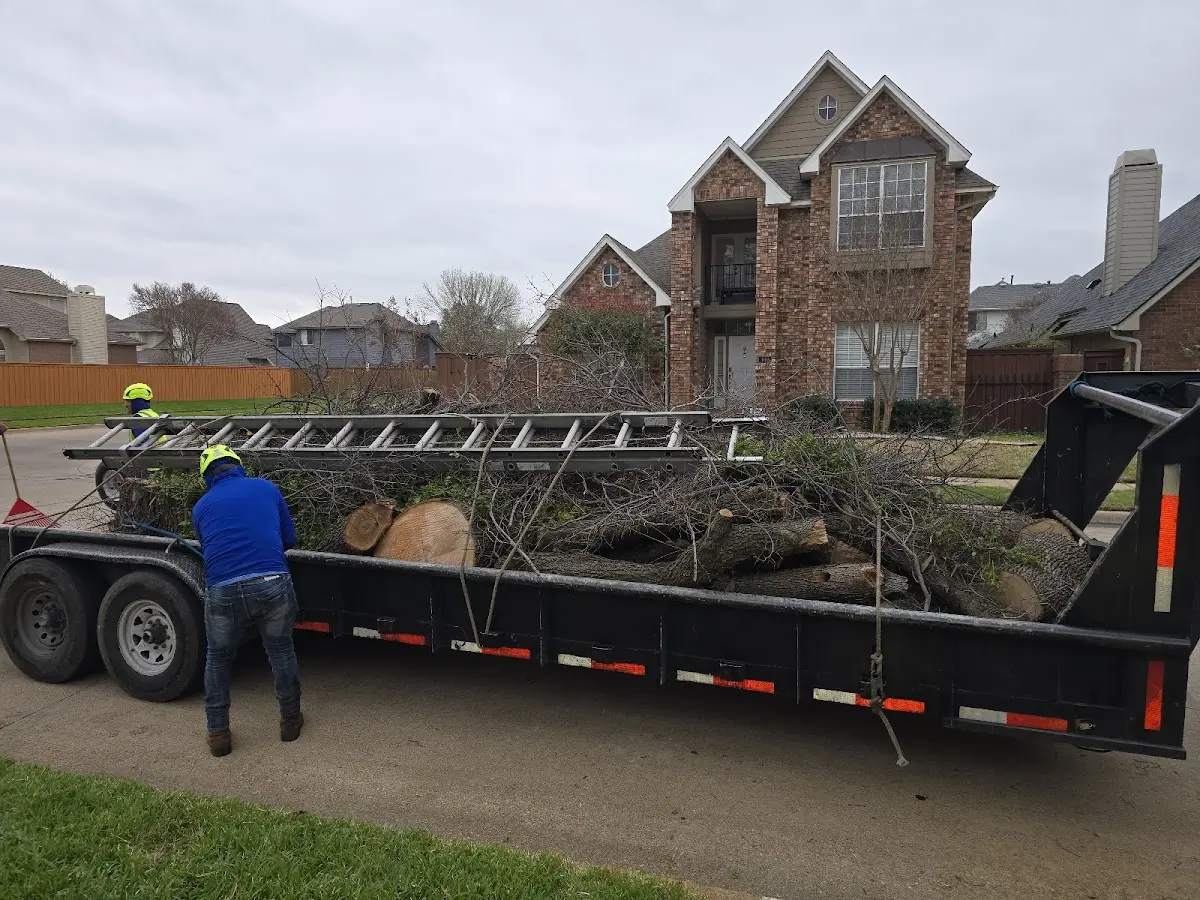 Expert Tree Removal with proper safety equipment in Walton